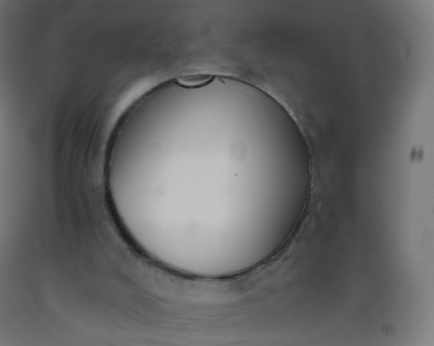 X0000092320008200709281415