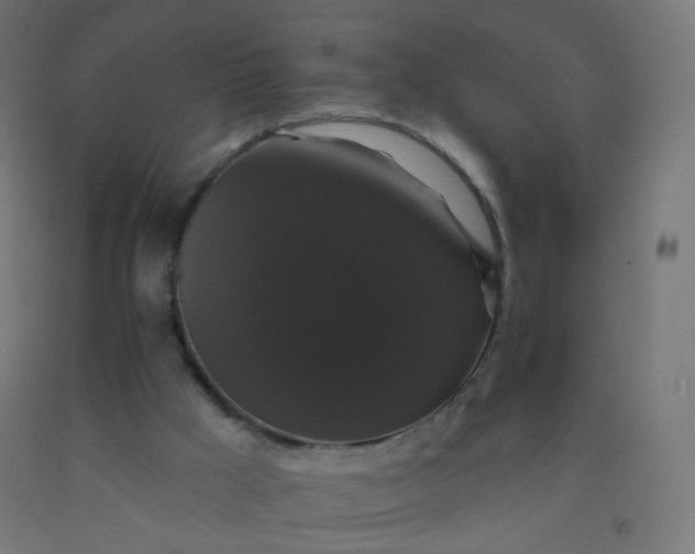X0000092320009200709281415