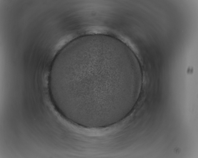 X0000092320010200709281415