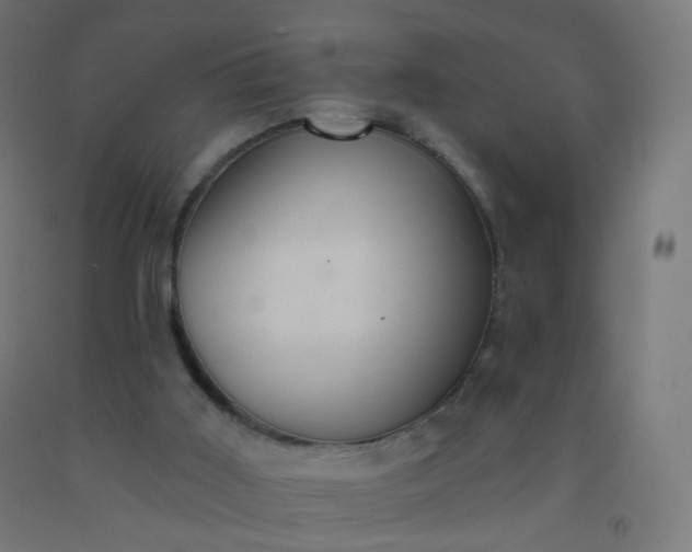 X0000092320011200709281415