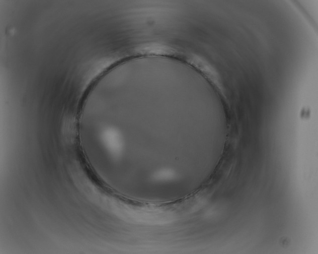 X0000092320012200709281415