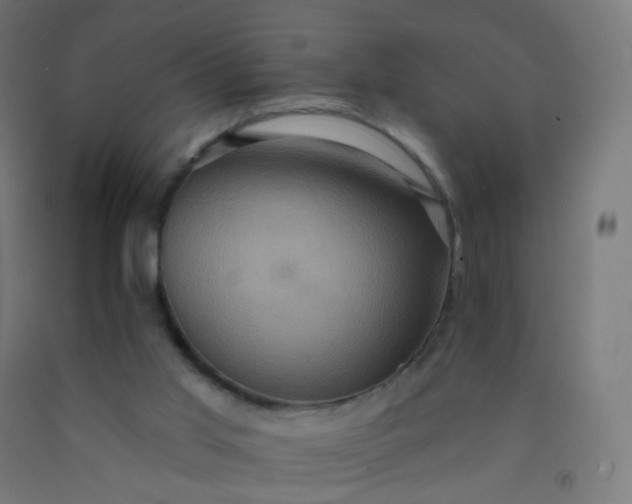 X0000092320013200709281415