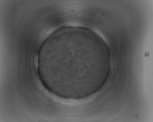 X0000092320014200709281415