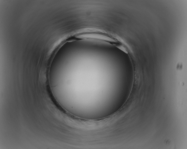 X0000092320015200709281415