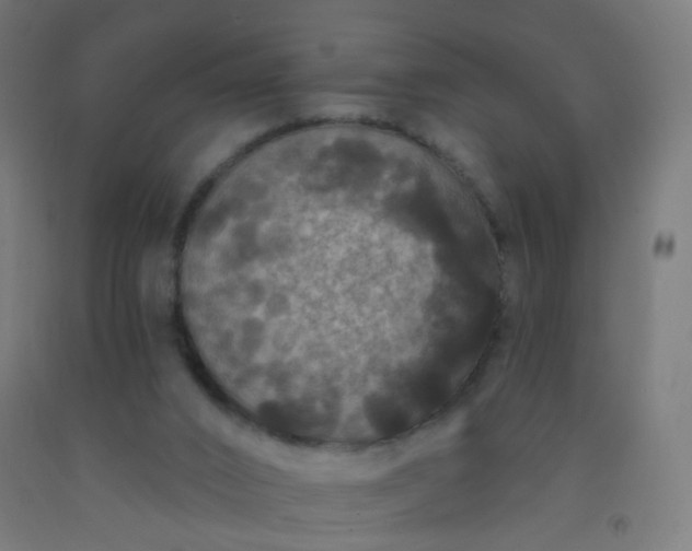X0000092320016200709281415