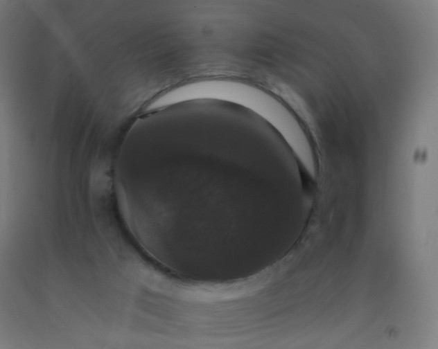 X0000092320017200709281415