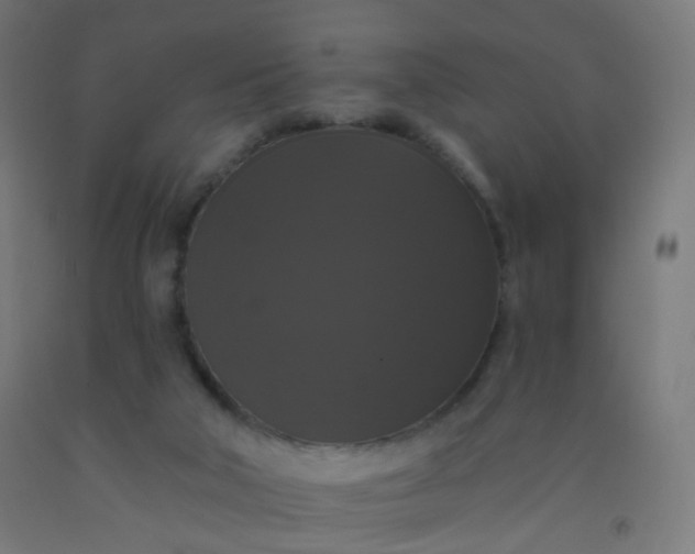 X0000092320018200709281415