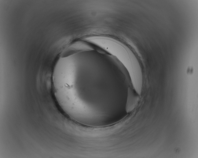X0000092320019200709281415