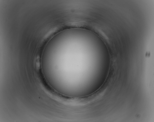 X0000092320020200709281415