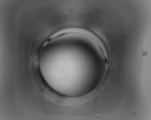 X0000092320021200709281415