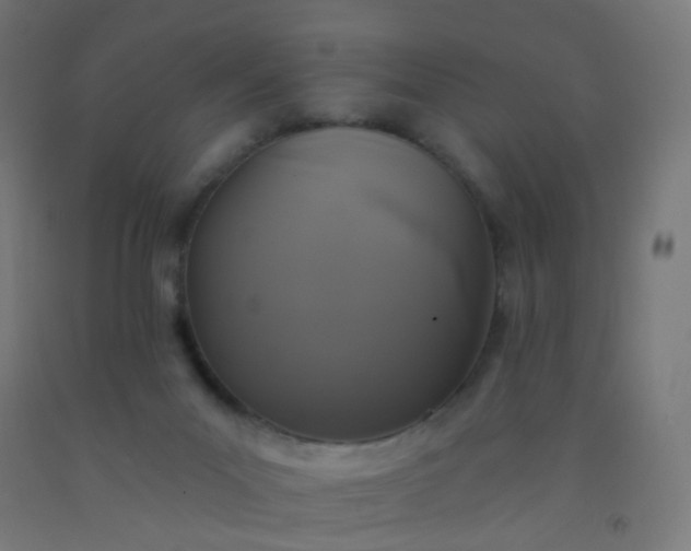 X0000092320023200709281415
