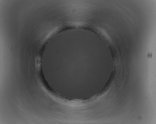 X0000092320024200709281415