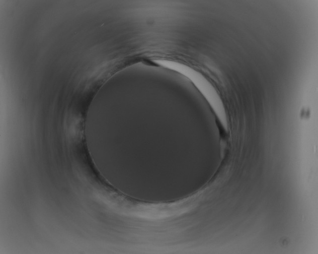 X0000092320029200709281415