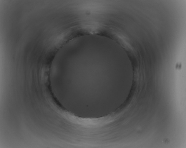 X0000092320030200709281415