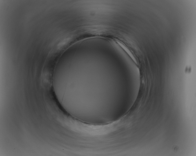 X0000092320031200709281415