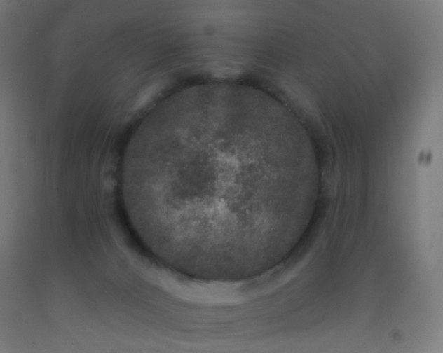 X0000092320032200709281415
