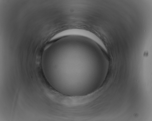 X0000092320033200709281415