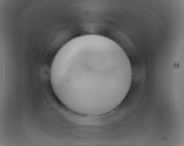 X0000092320036200709281415