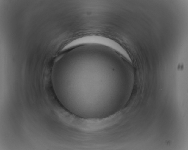 X0000092320037200709281415