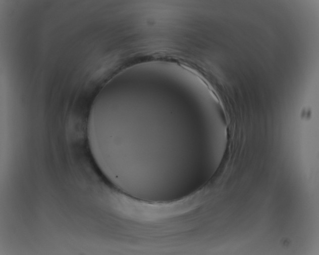 X0000092320039200709281415