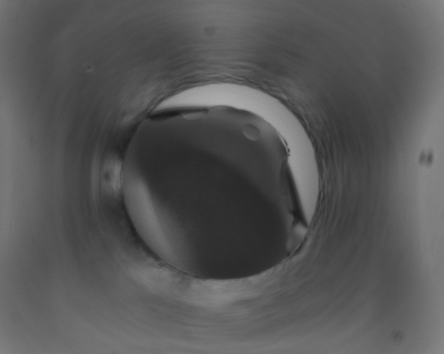X0000092320041200709281415
