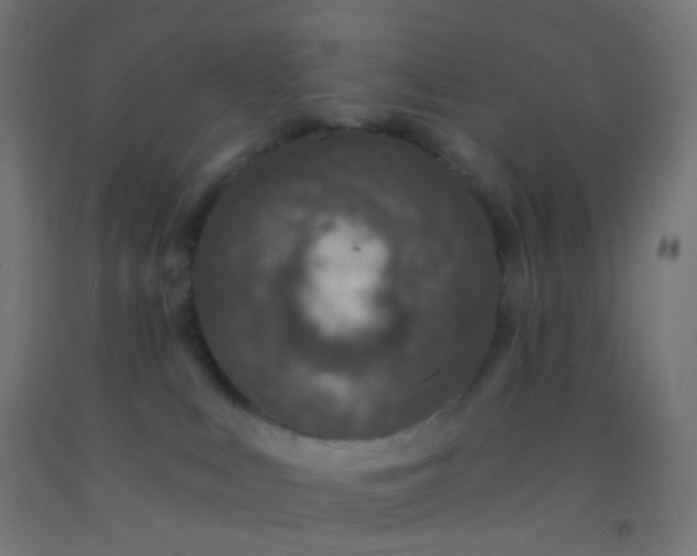 X0000092320043200709281415