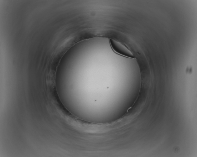 X0000092320044200709281415