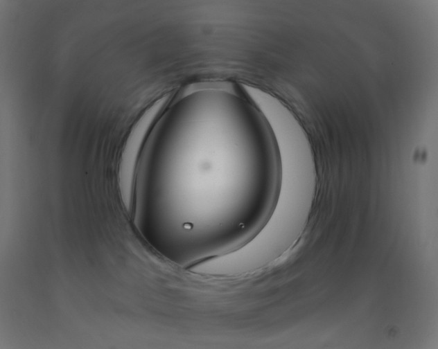 X0000092320045200709281415