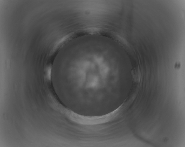 X0000092320047200709281415
