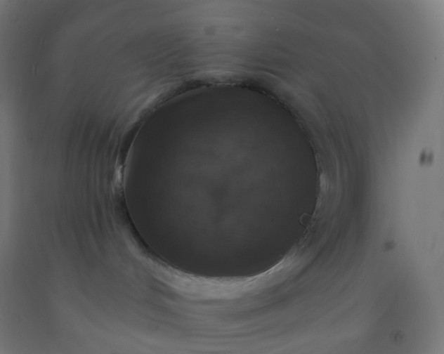 X0000092320048200709281415