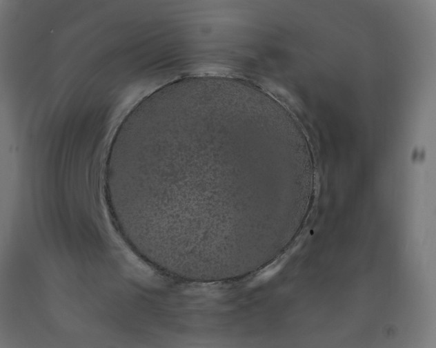 X0000092320049200709281414