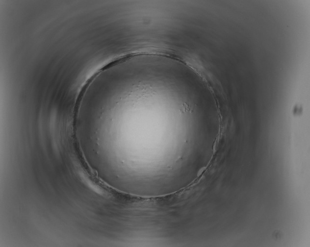 X0000092320050200709281414