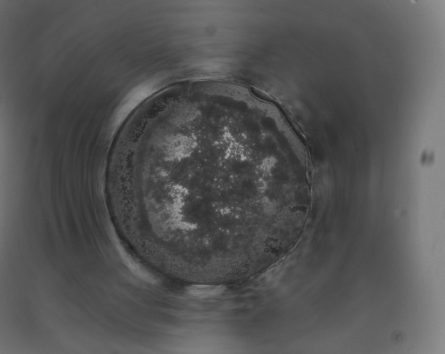 X0000092320051200709281414