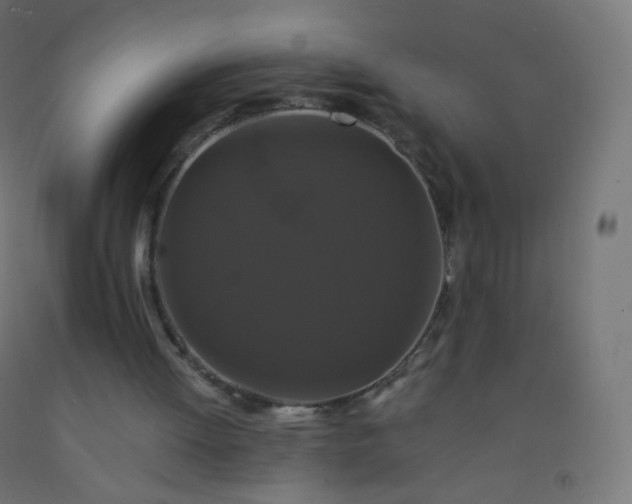 X0000092320052200709281414