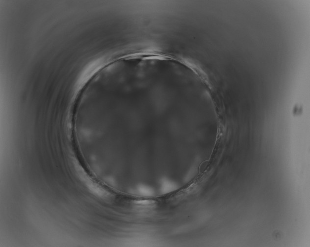 X0000092320053200709281414