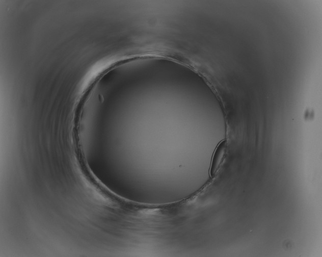 X0000092320054200709281414