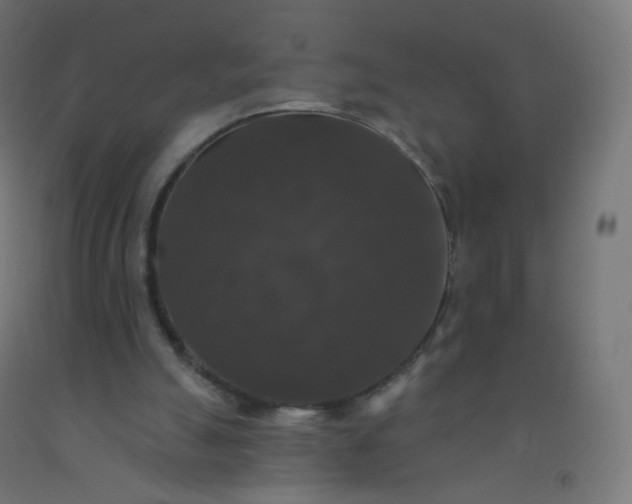 X0000092320055200709281414