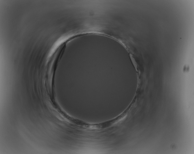 X0000092320056200709281414