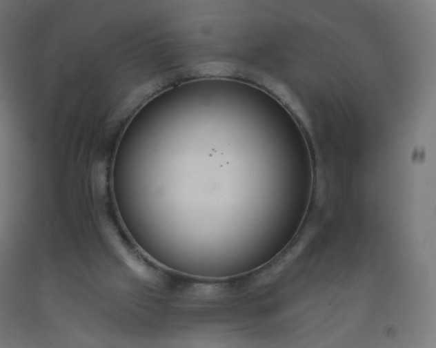 X0000092320057200709281414