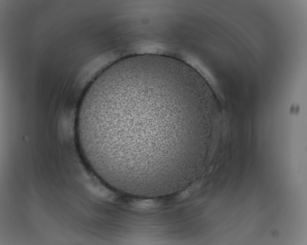 X0000092320058200709281414