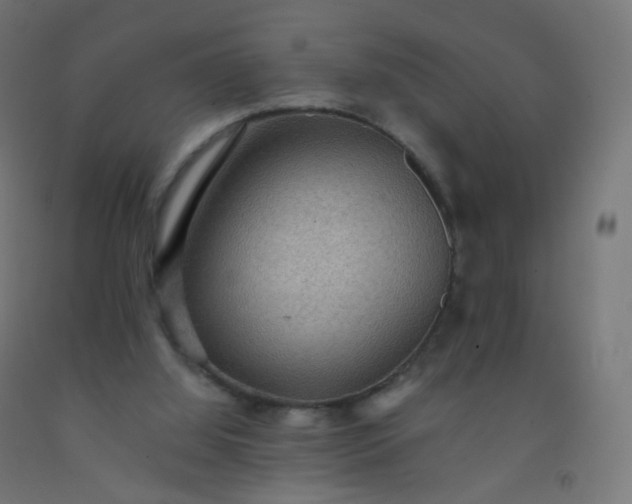 X0000092320060200709281414