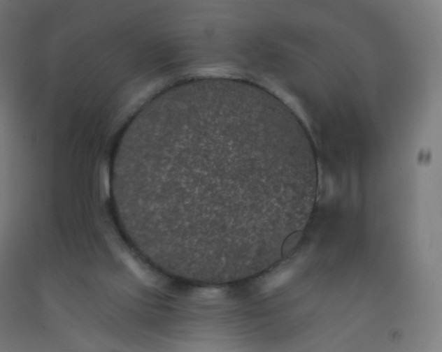 X0000092320061200709281414