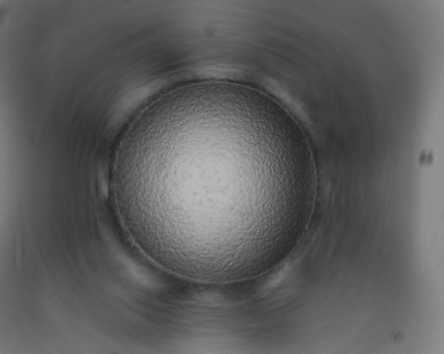 X0000092320062200709281414