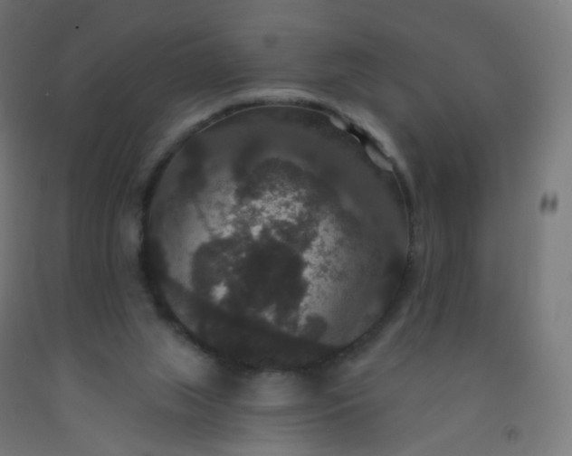 X0000092320063200709281414