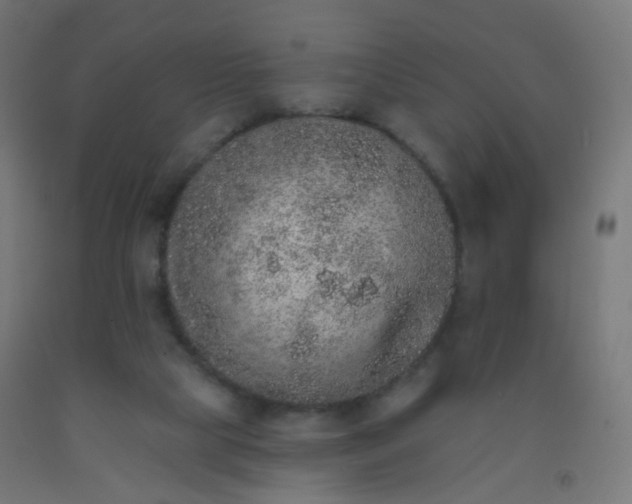 X0000092320065200709281414