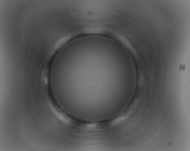 X0000092320068200709281414