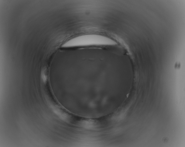 X0000092320069200709281414