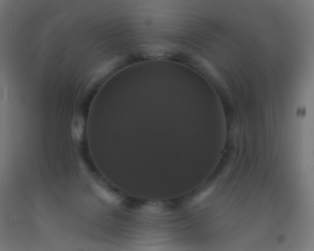 X0000092320076200709281414