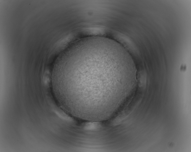 X0000092320077200709281414