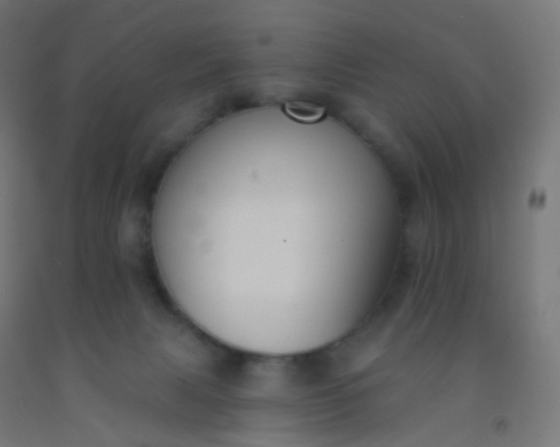 X0000092320079200709281415